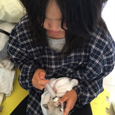 小さなママと小さな仔猫