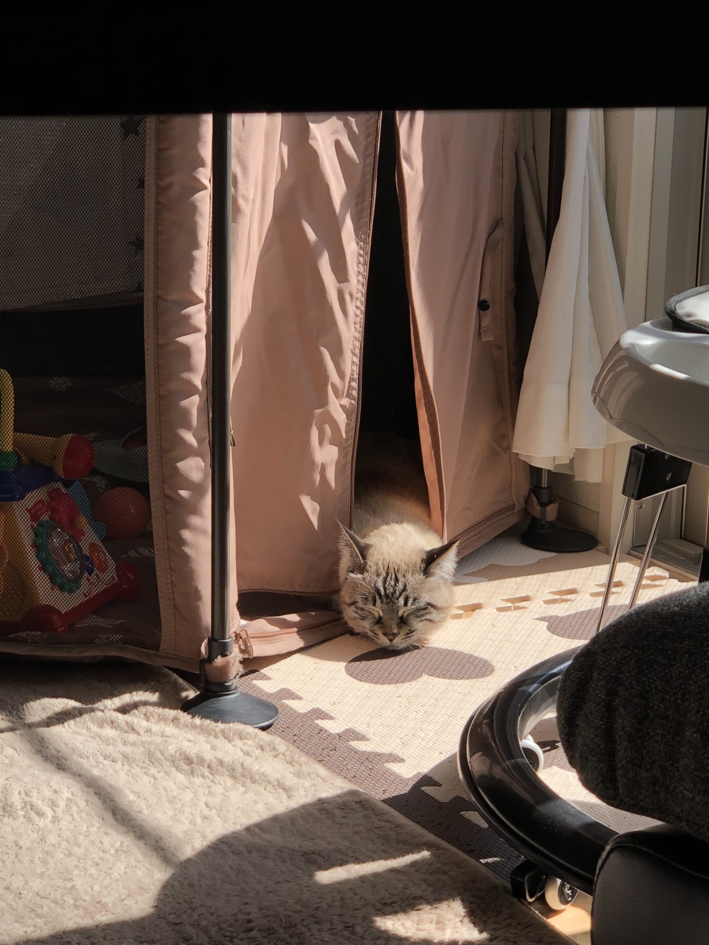 あったけ〜