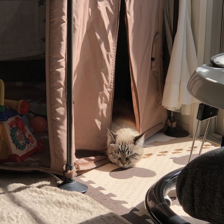 あったけ〜