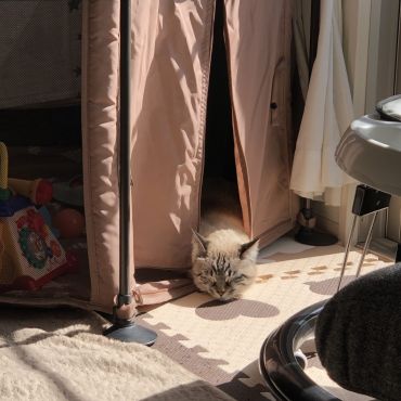 あったけ〜