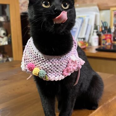 凛と前を向いて