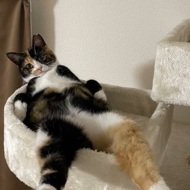 また開き