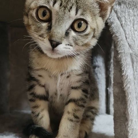いのちつないだ空くん