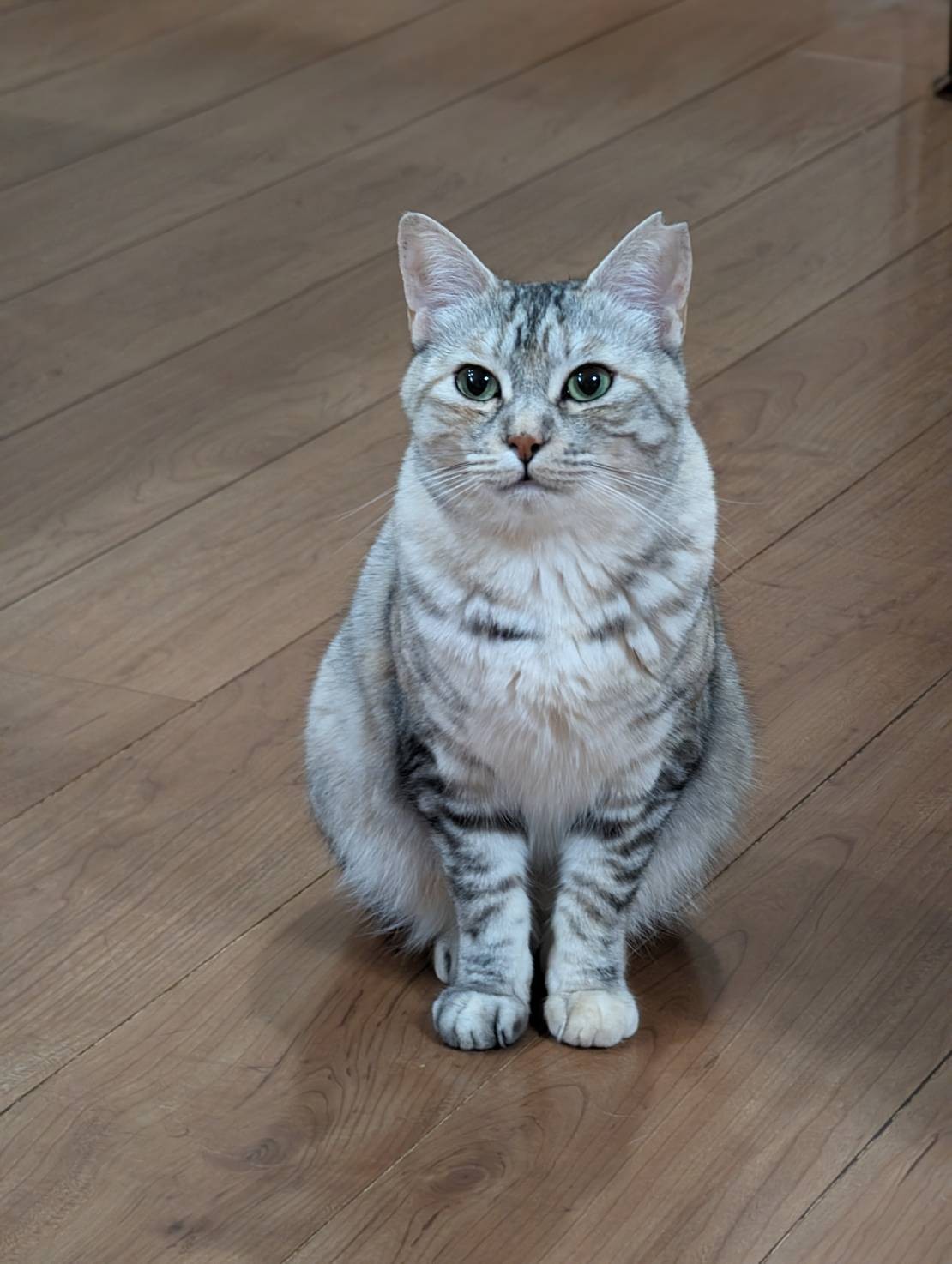 今はぽっちゃり。幸せだね！
