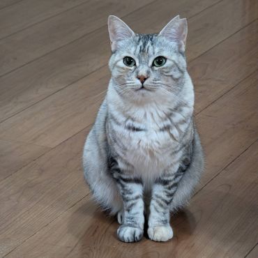今はぽっちゃり。幸せだね！