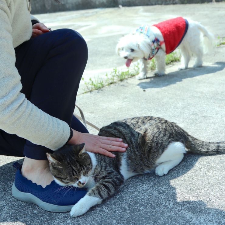 今日も元気でいてくれてありがとう！