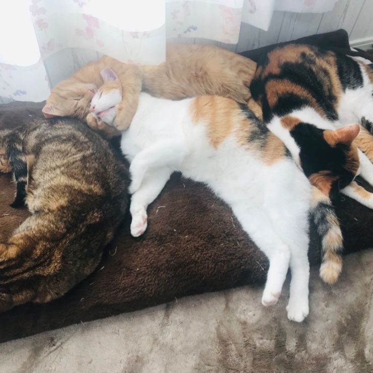 みんながいるから