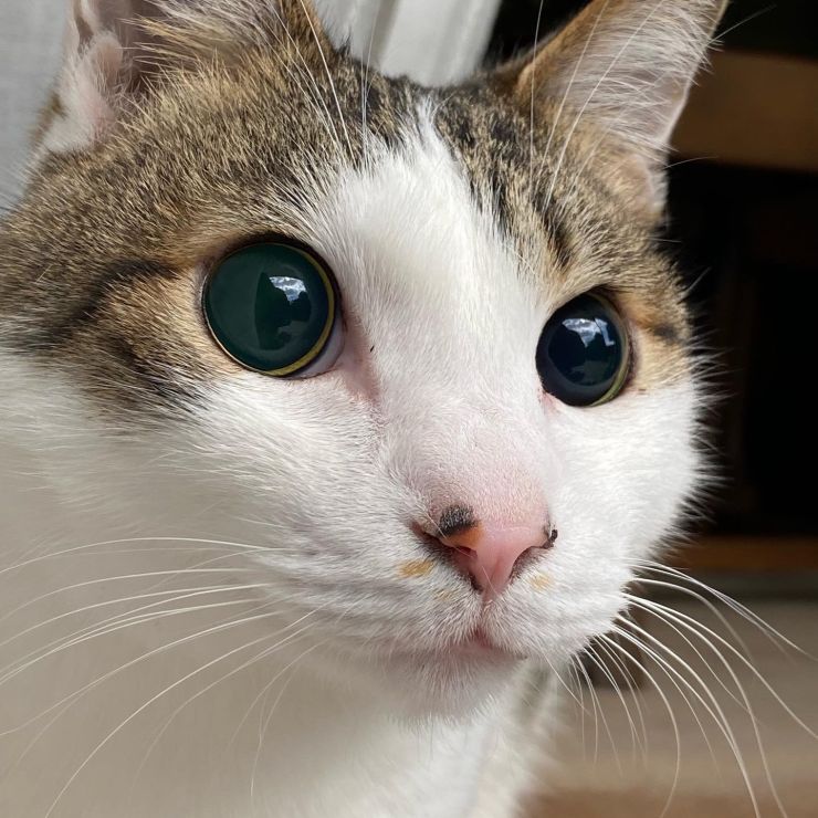 神様からの贈り物