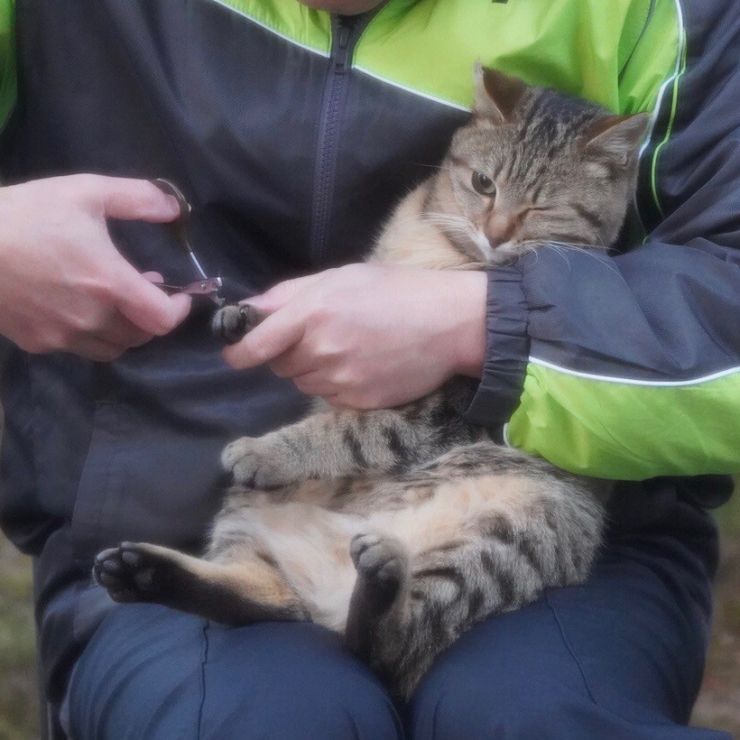 何？なに？