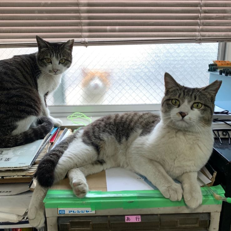 ママ、お客さんです
