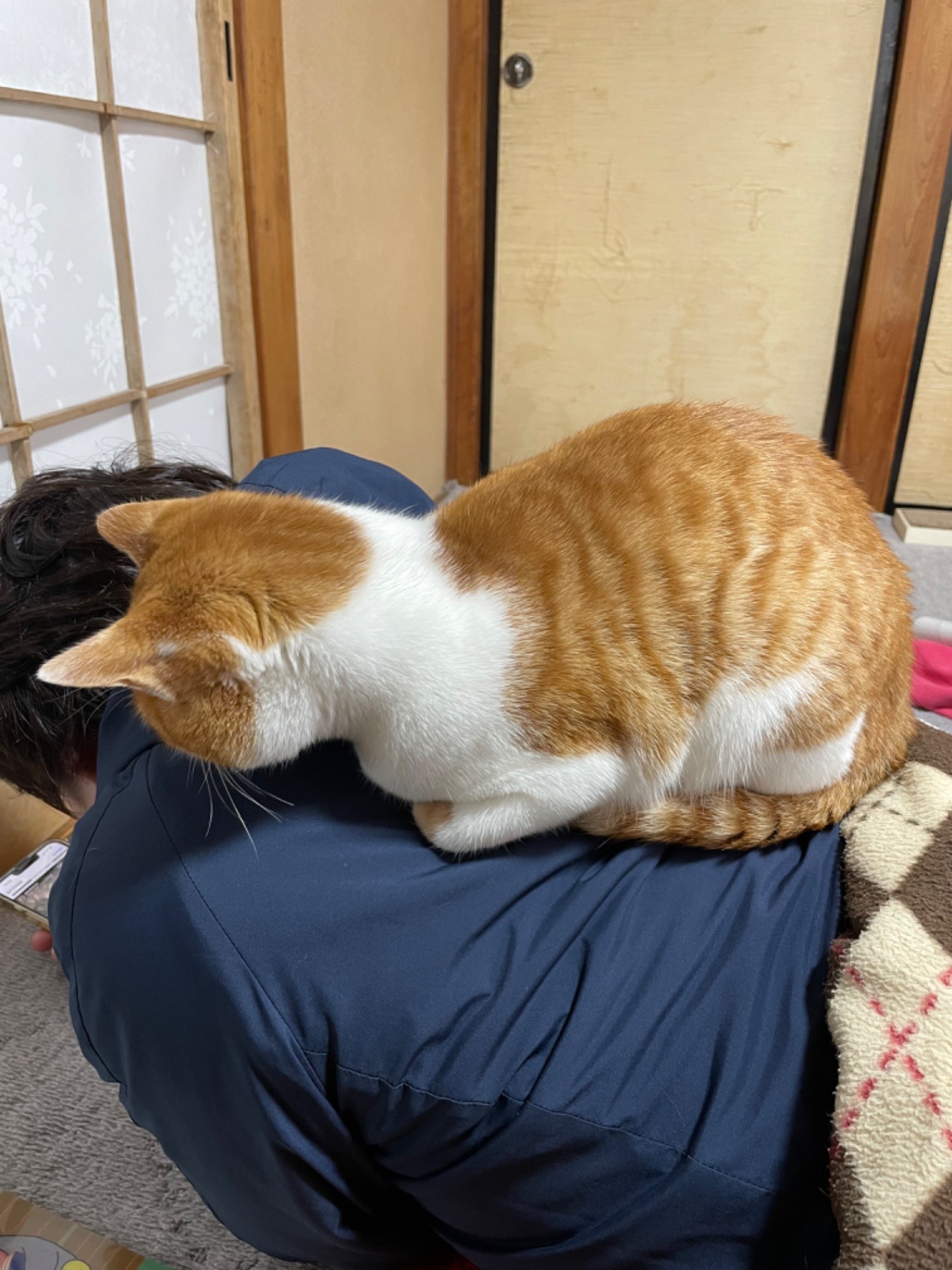 ご主人様とずっと一緒
