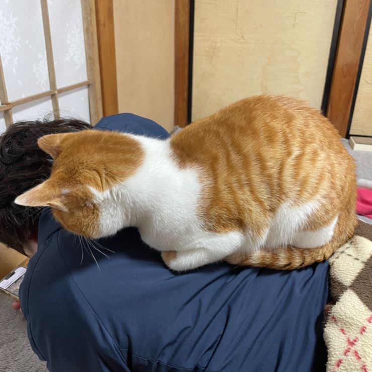 ご主人様とずっと一緒