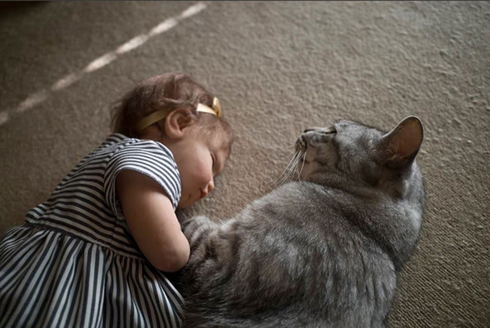赤ちゃんと猫
