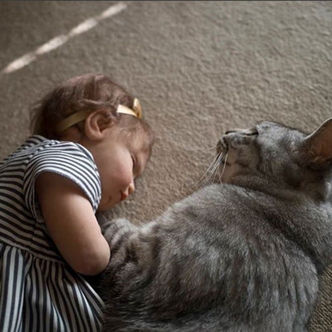 赤ちゃんと猫
