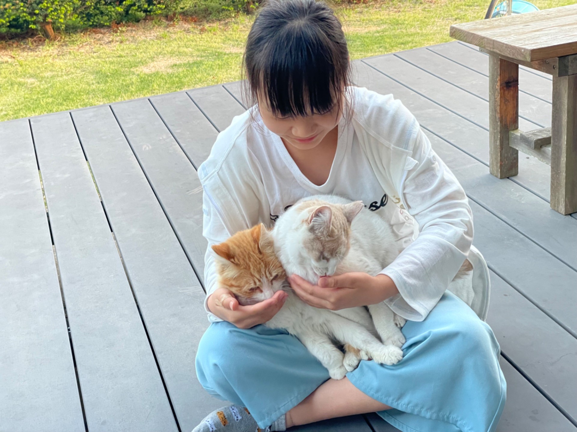 地域猫との信頼関係を