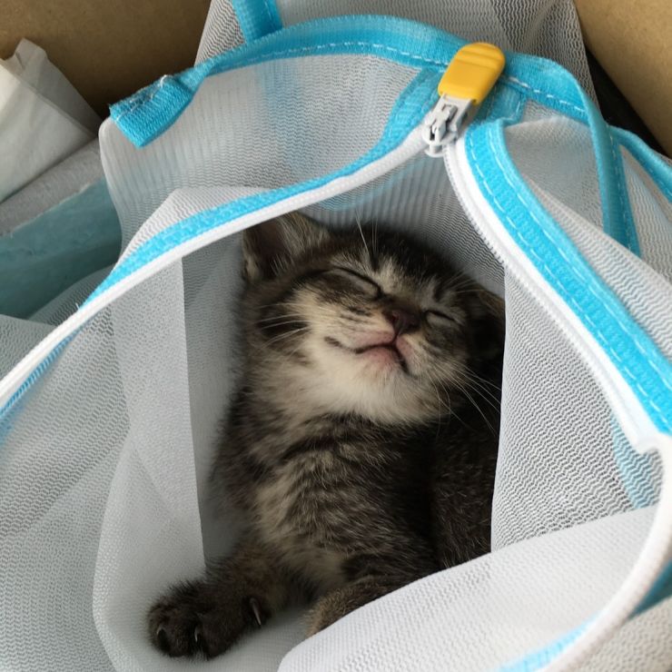 新しいお家へ