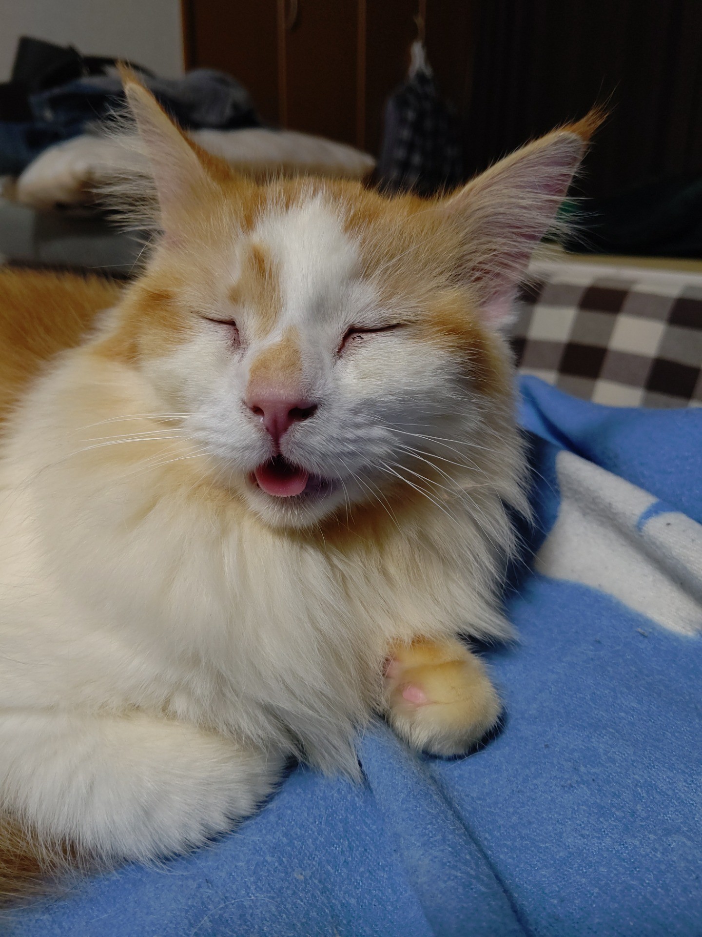 鼻づまり中