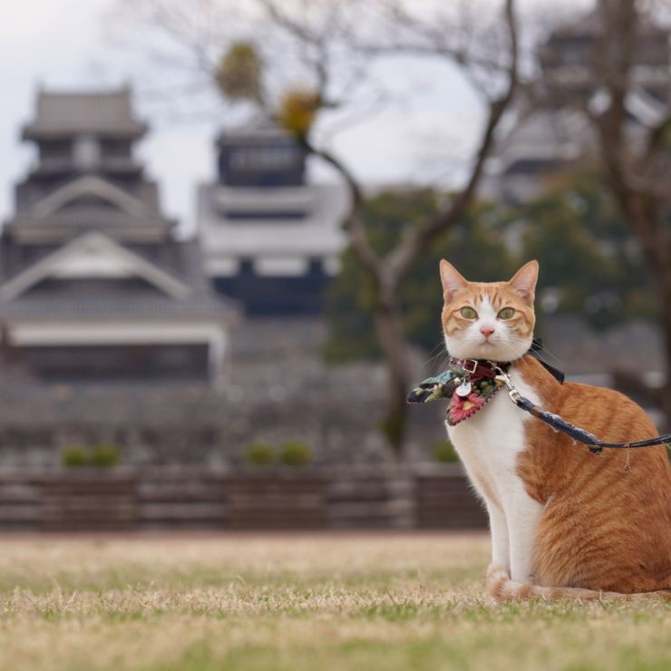 復興と共に。