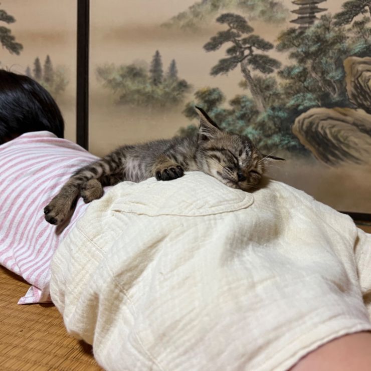 お姉ちゃんずっと一緒だよ