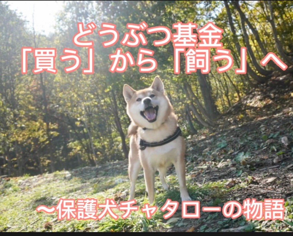 どうぶつ基金：「買う」から「飼う」へ～保護犬チャタローの物語