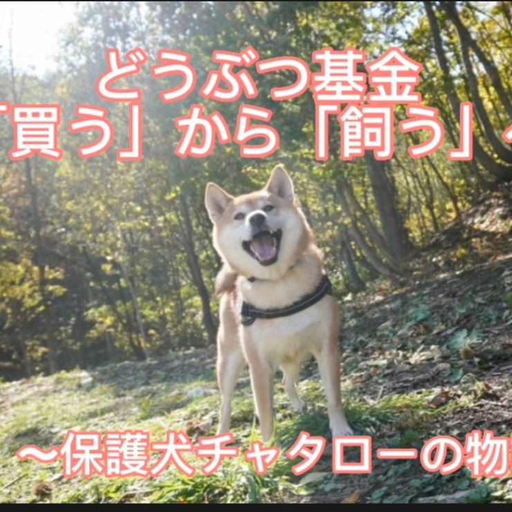 どうぶつ基金：「買う」から「飼う」へ～保護犬チャタローの物語