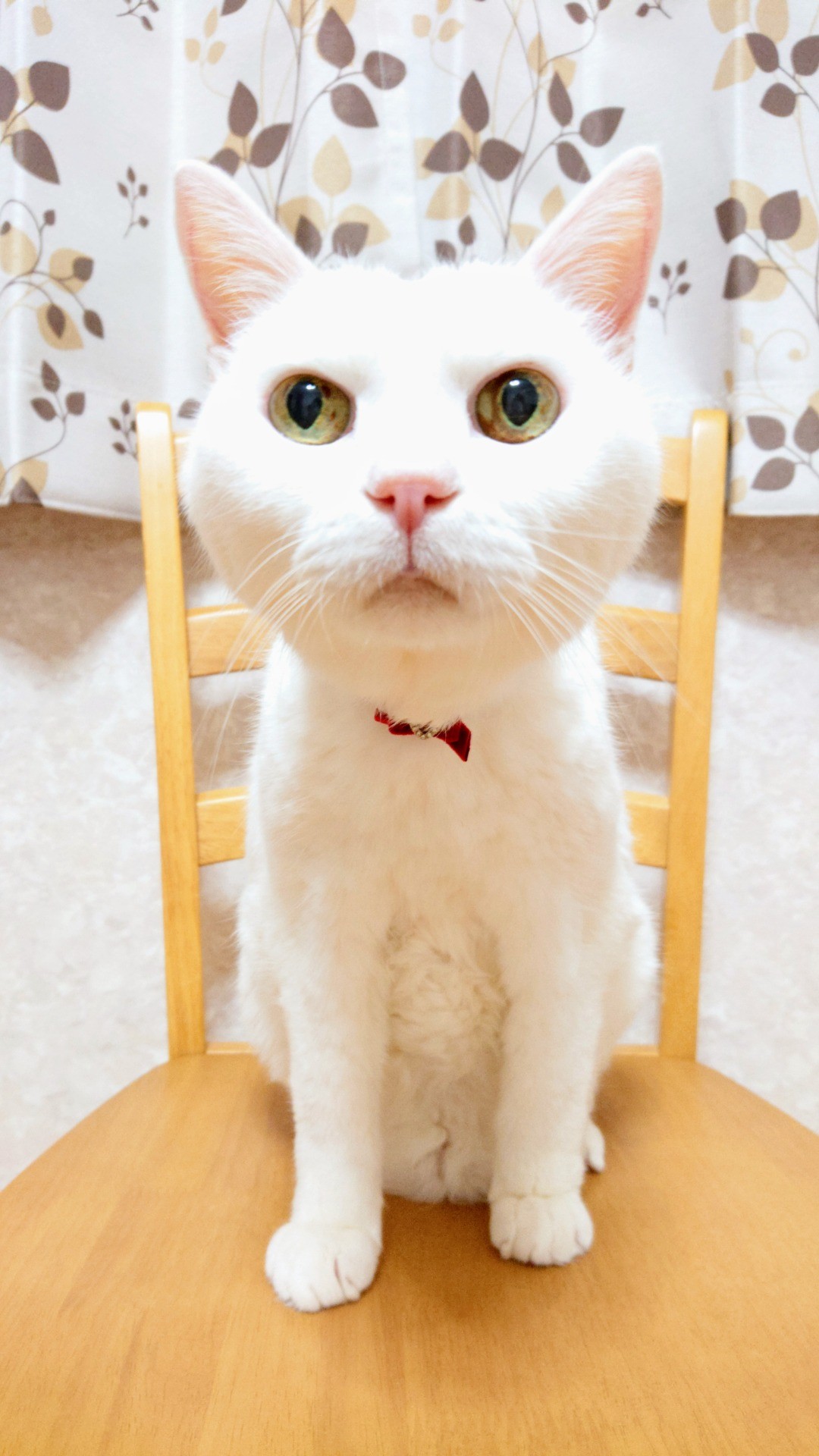 生きた証