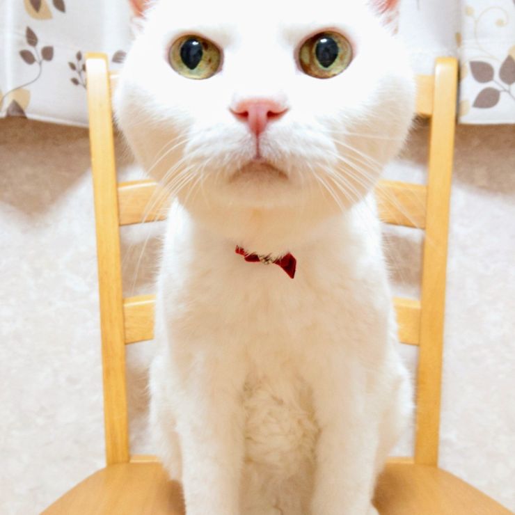 生きた証