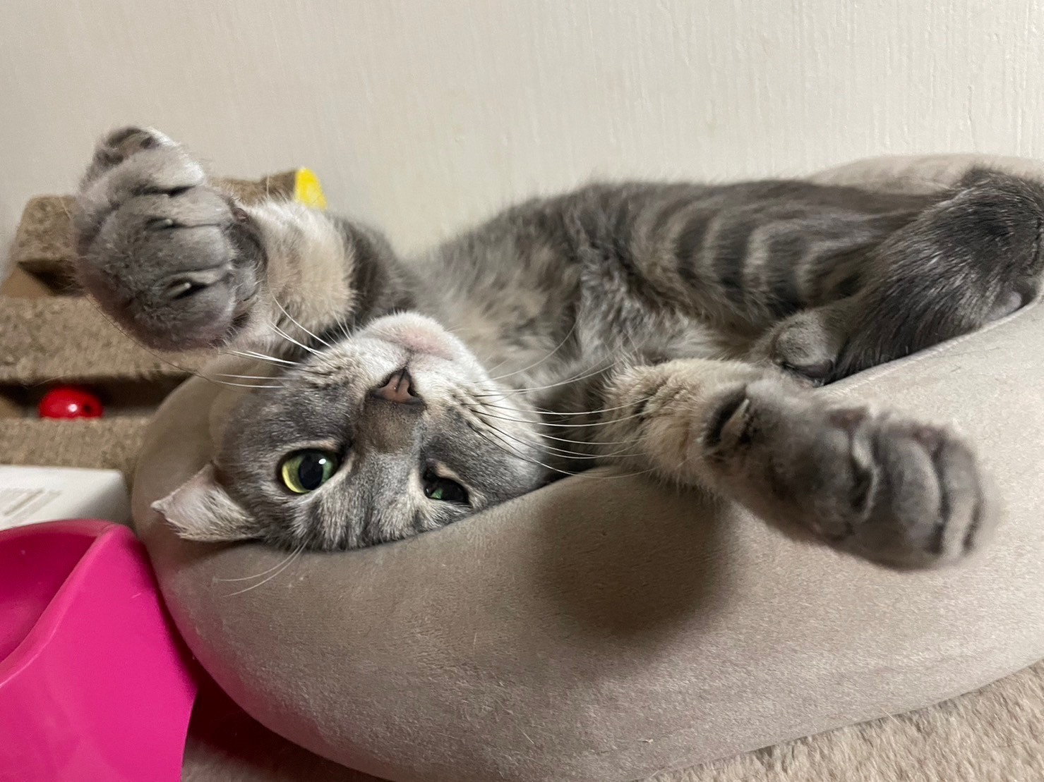 ニコパンチ