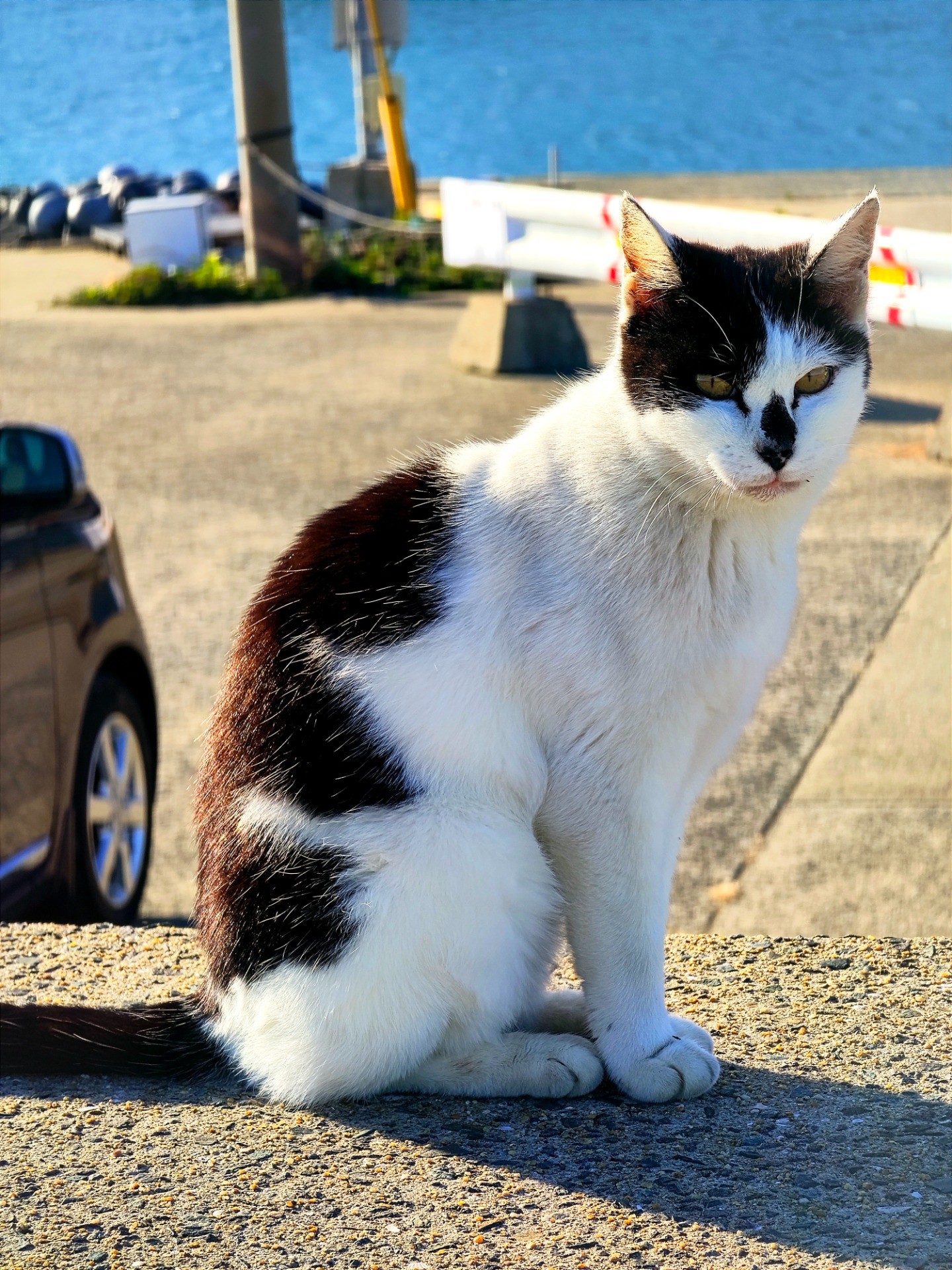 釣果監視