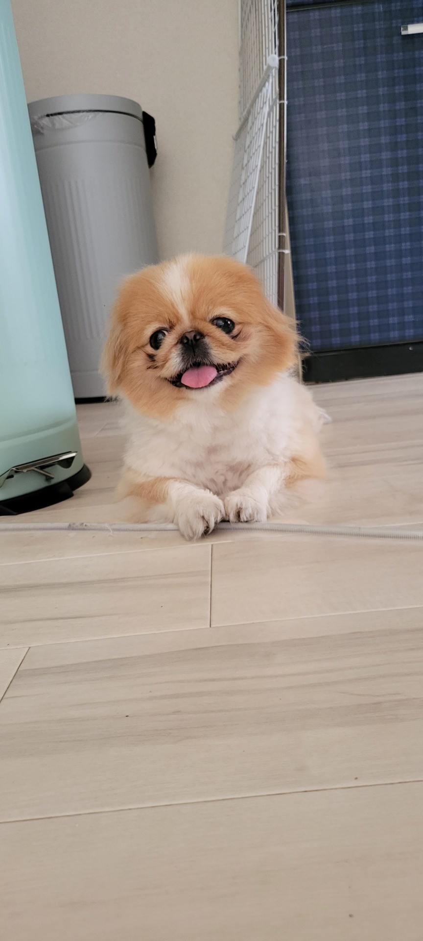 大好きだよ！