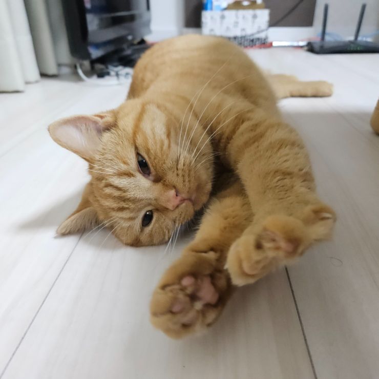 のびーっ！