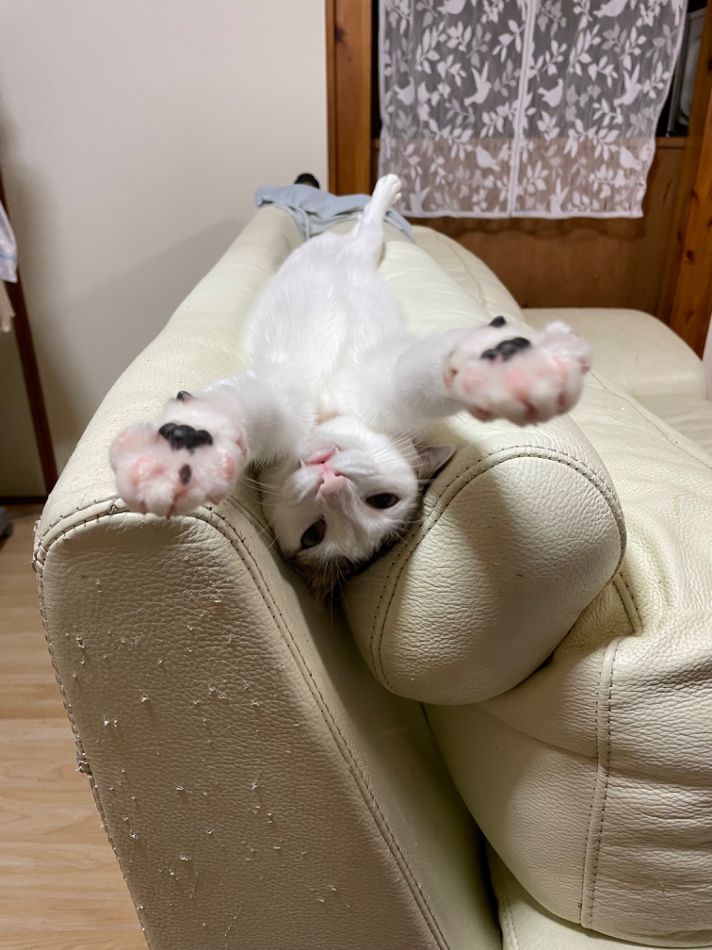 ばんざーい