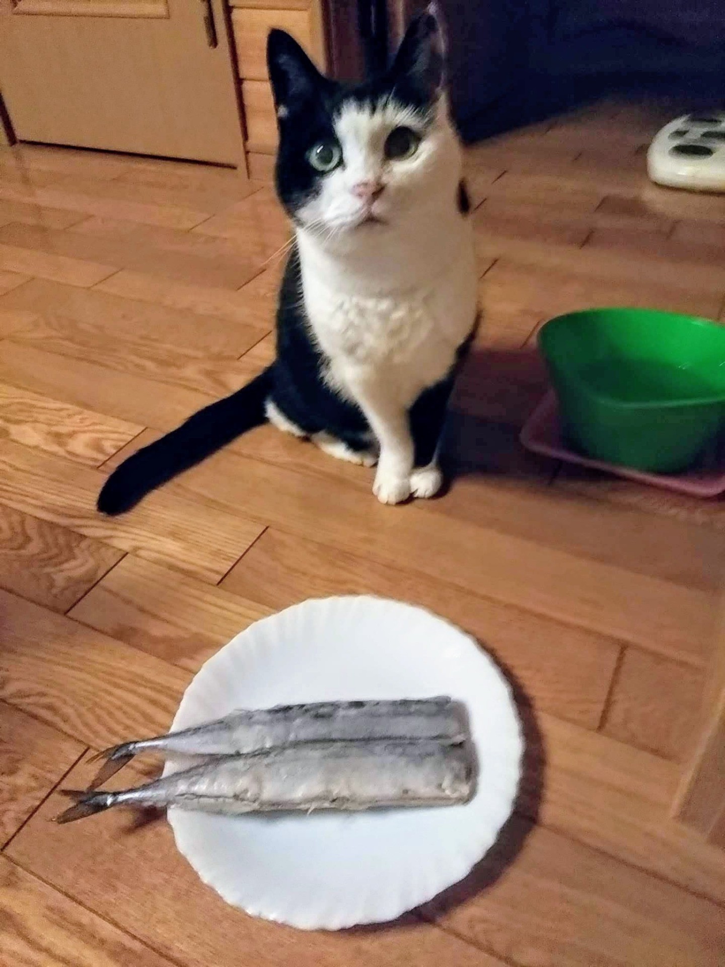 誕生日はさんまパーティー!