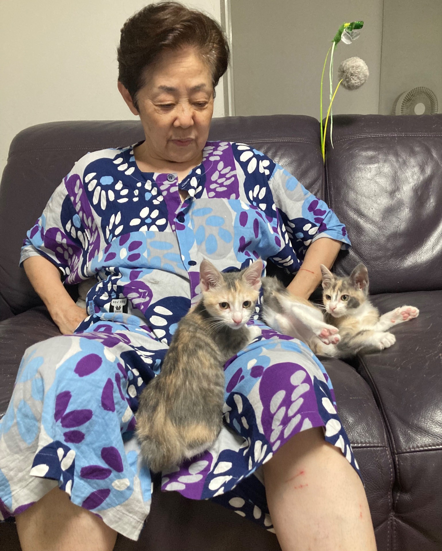 私達がばあばの年を超えるまで長生きしてにゃん！
