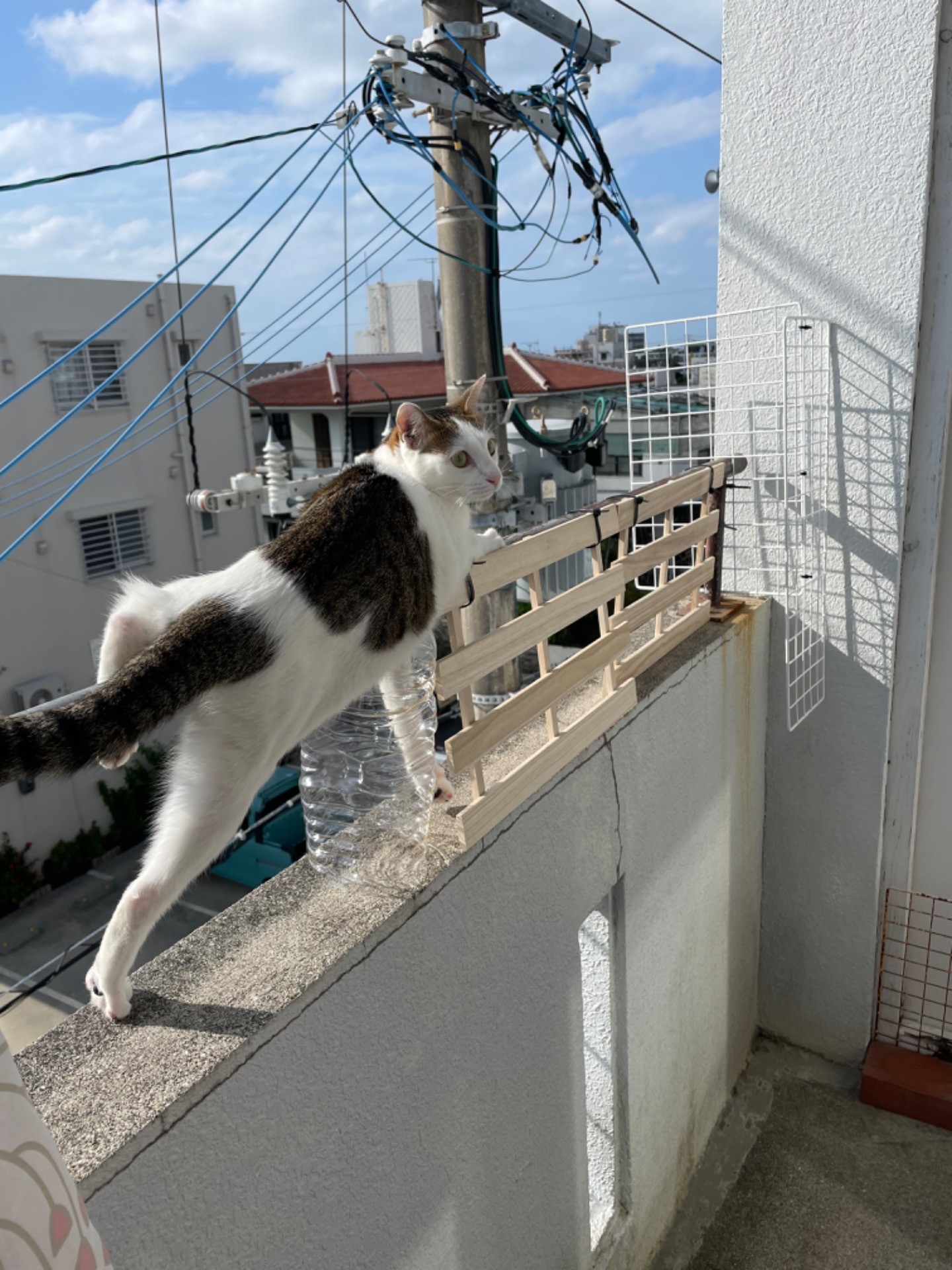 どうしても行きたいの…①