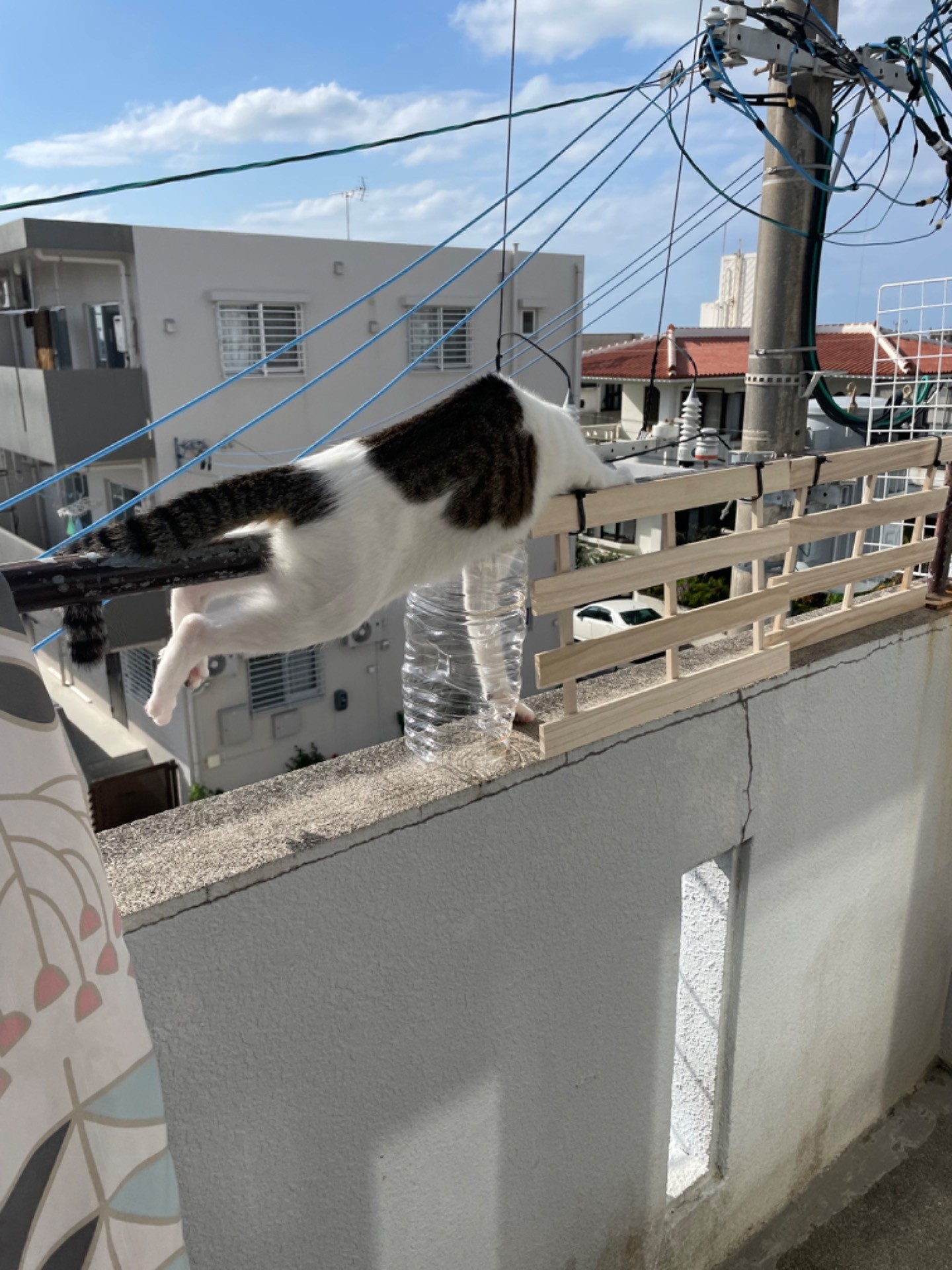 どうしても行きたいの…②