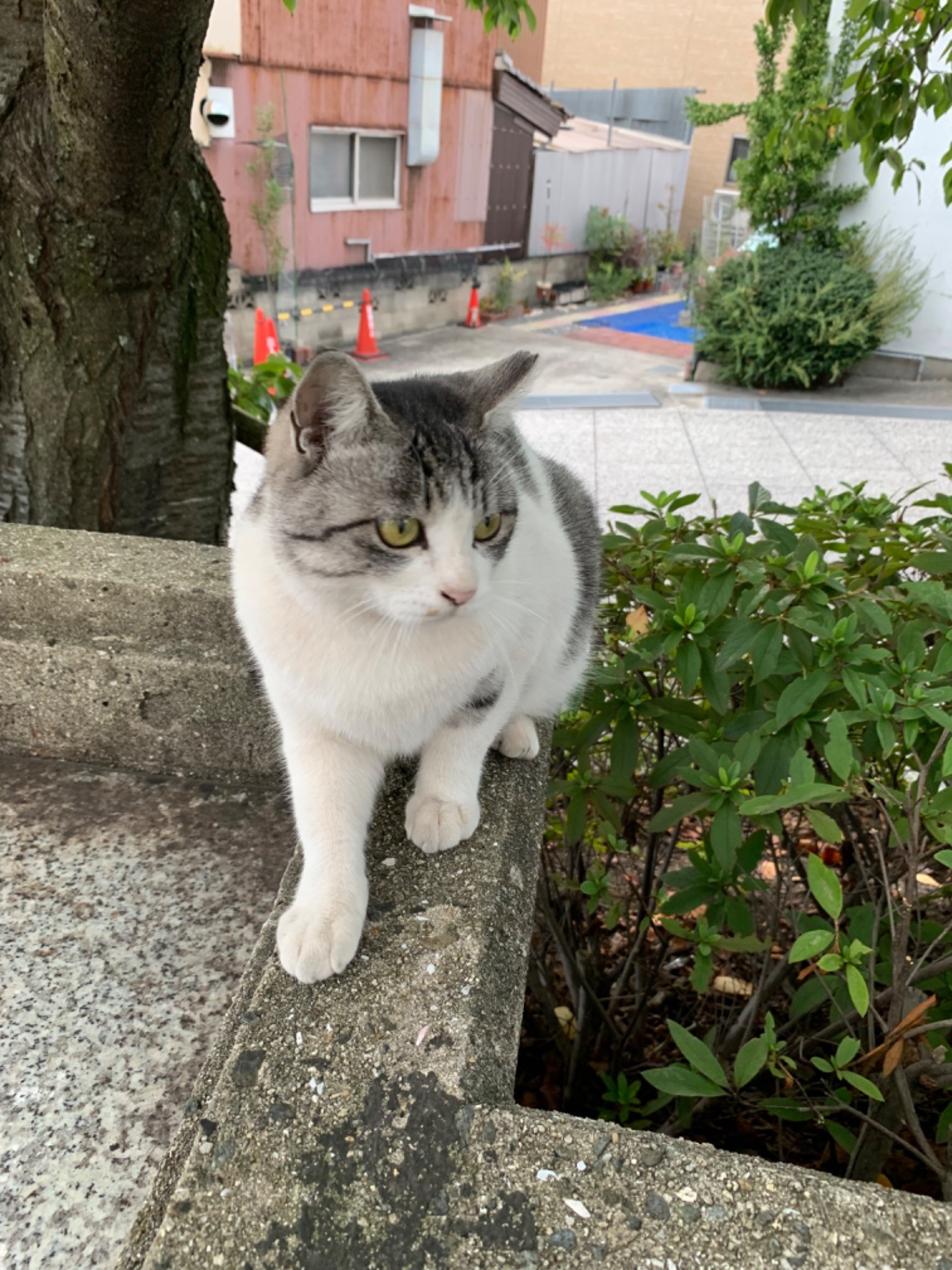 ひたすら自由に生きる
