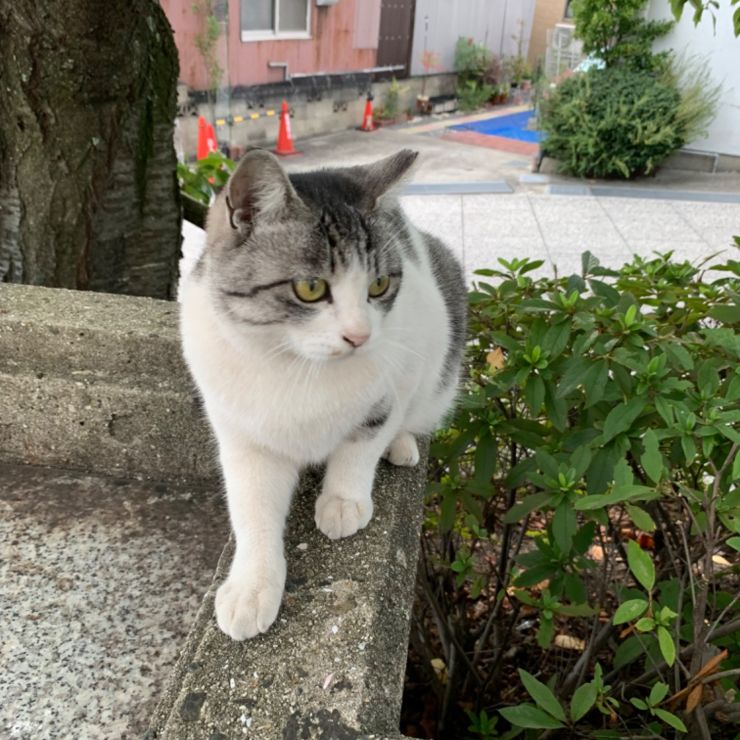 ひたすら自由に生きる