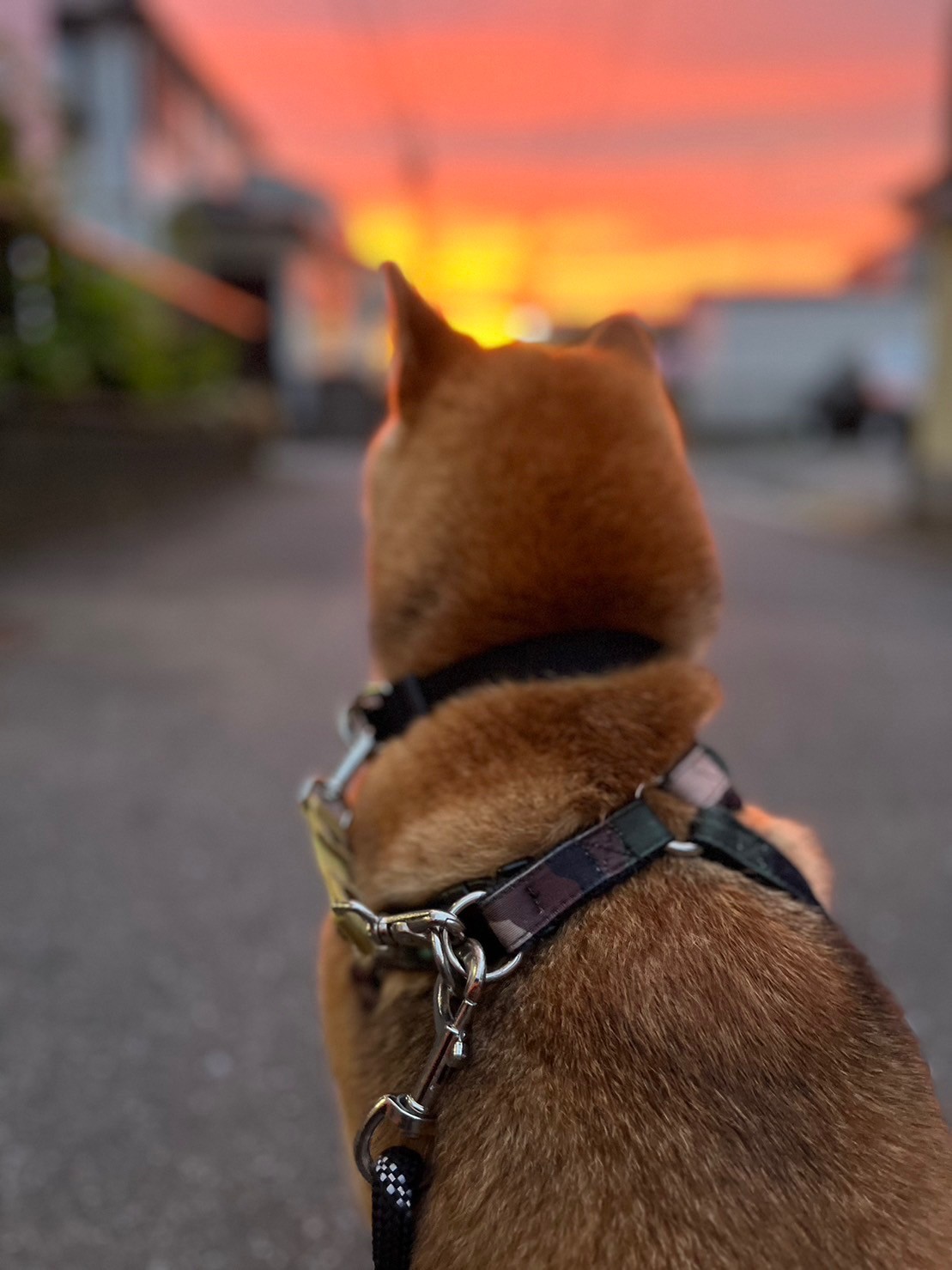 今がしあわせ♡