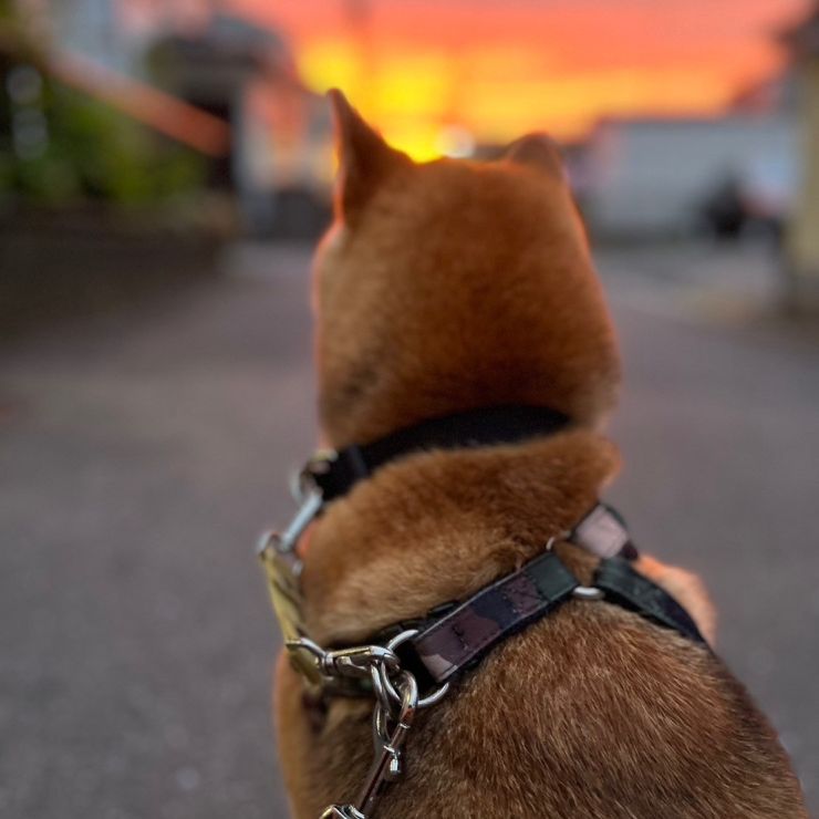 今がしあわせ♡