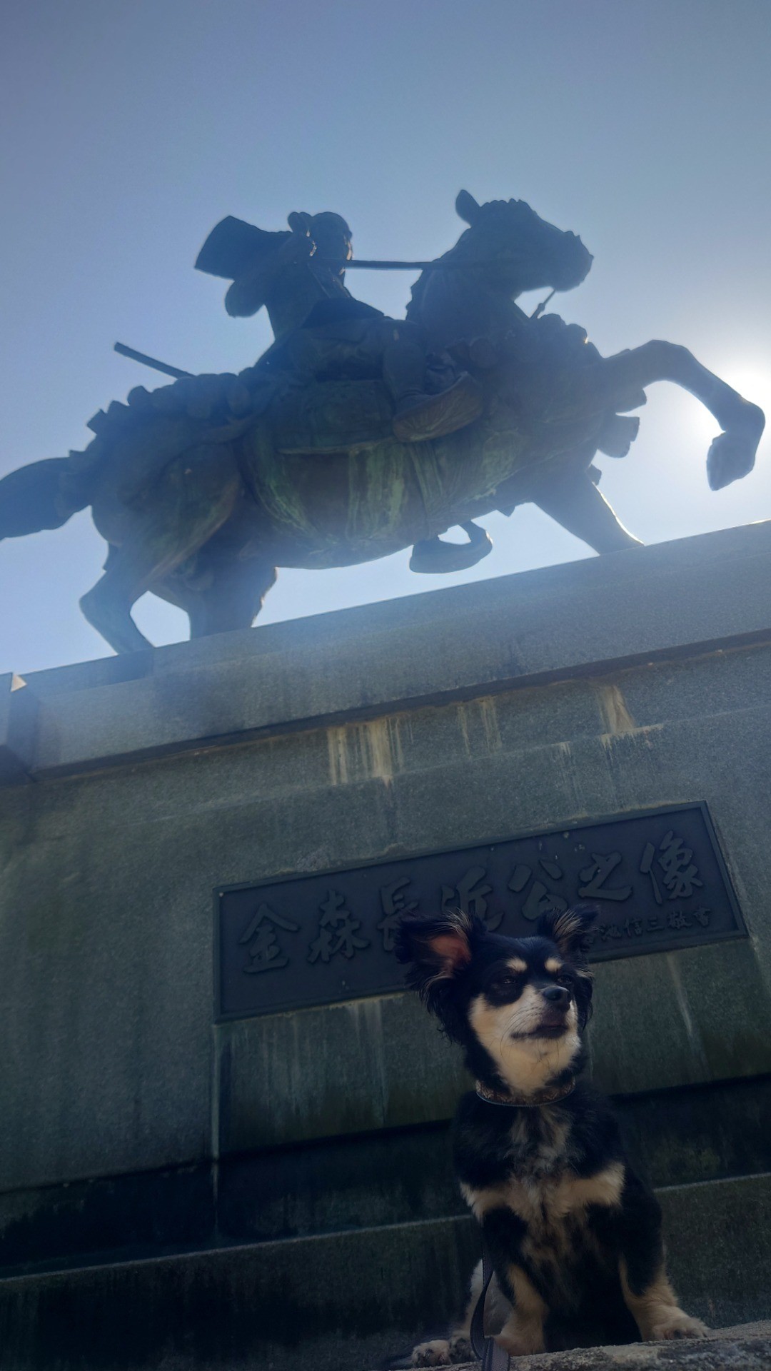 戦国武将と僕