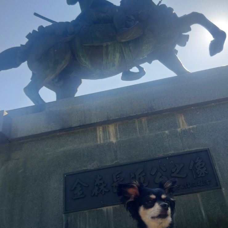 戦国武将と僕