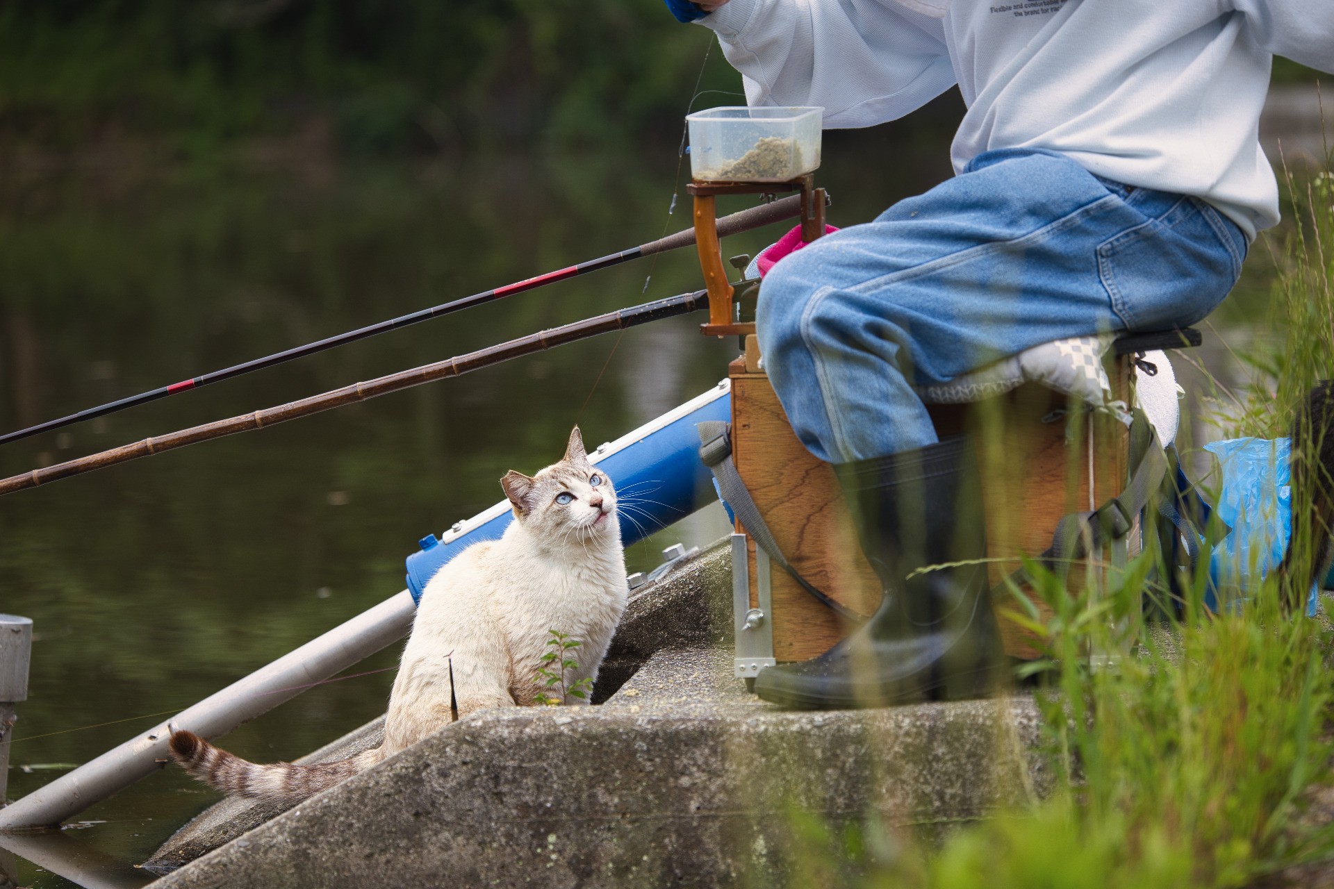 釣れた？