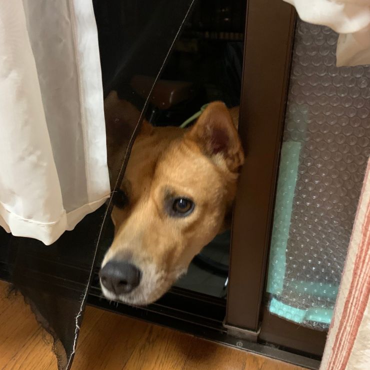何してるの？