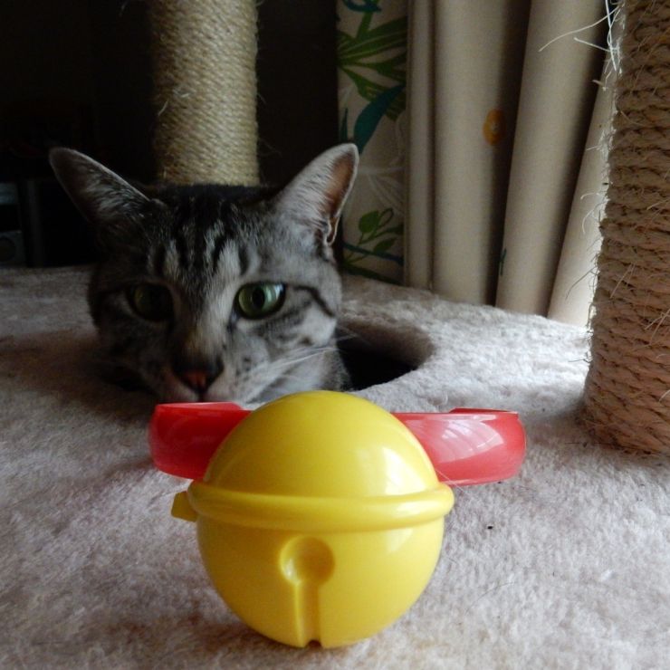 ドラえもんの鈴だニャ！