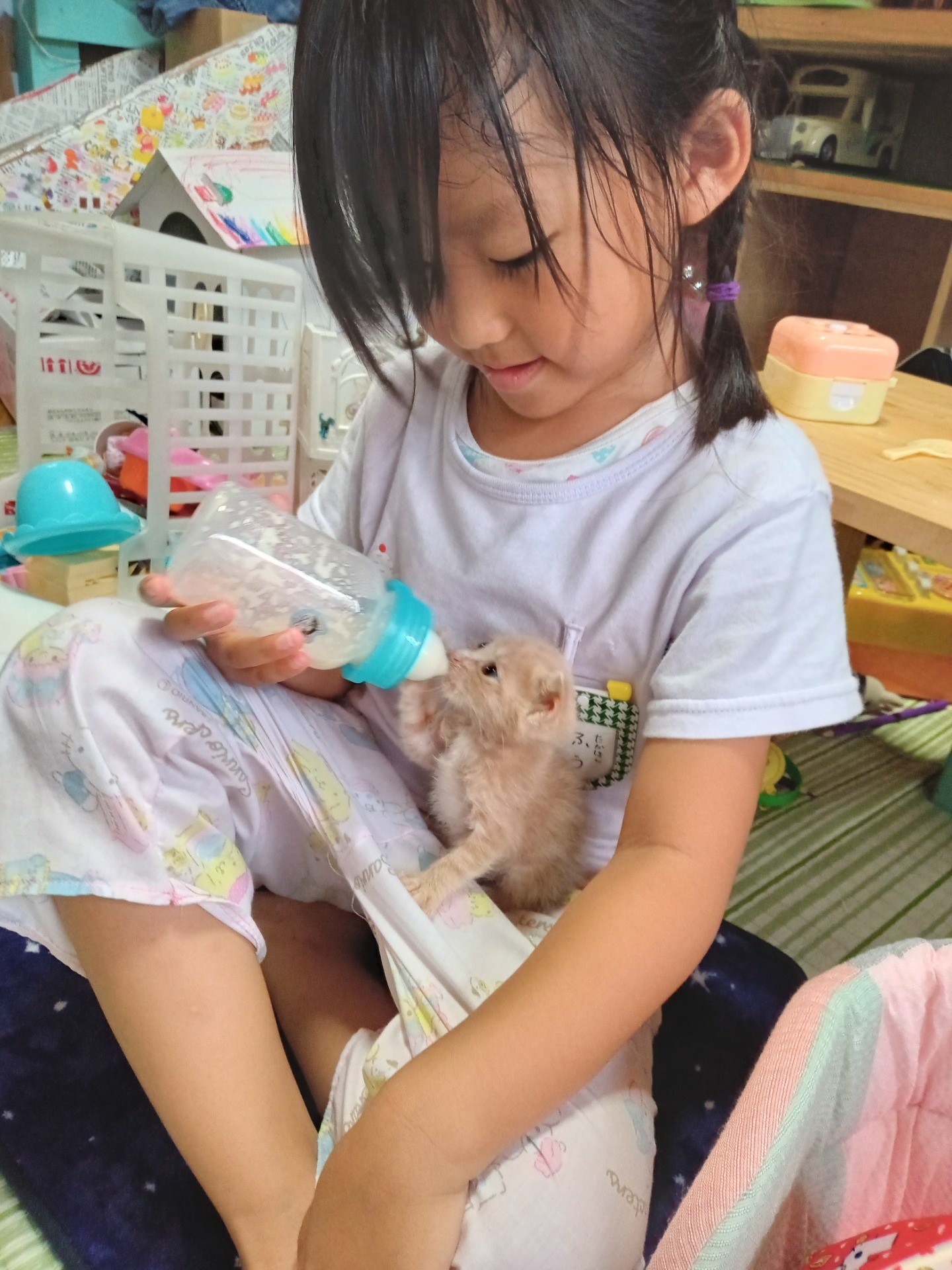 台風前日に保護