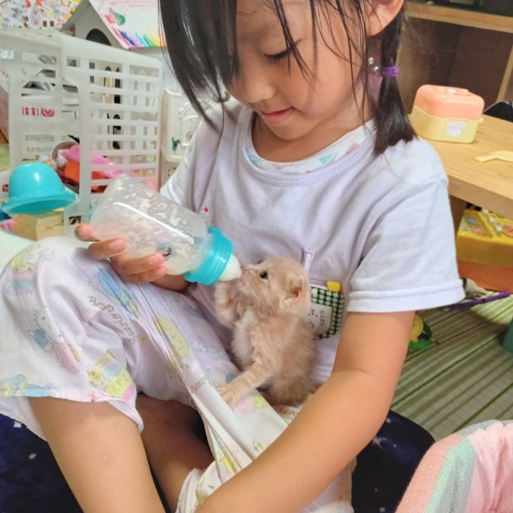 台風前日に保護