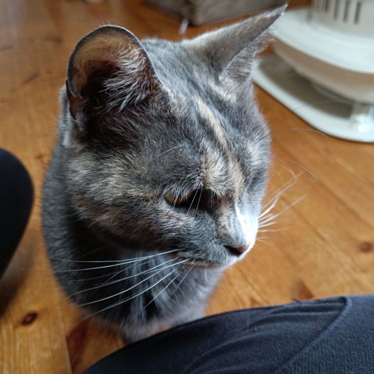 わたし、ナナです。
