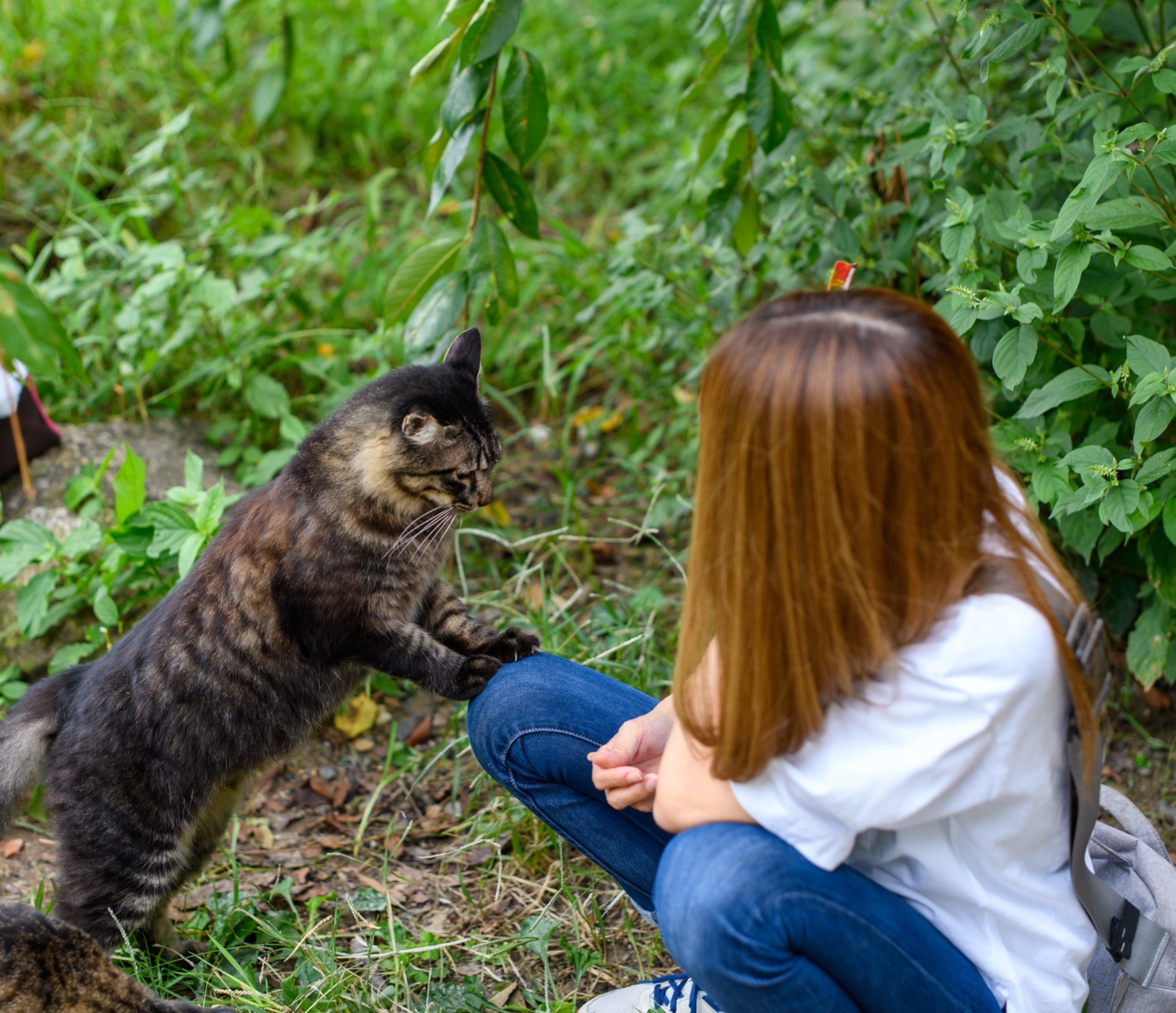 ごめんなさい…かな？