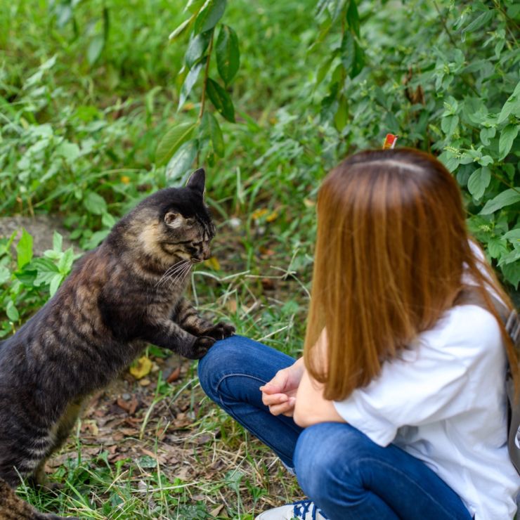 ごめんなさい…かな？